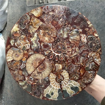 Veľká veľkosť krásne Ammonite Shell Fosílnych Disk Madagaskar veľkoobchod ammonite fosílnych fengshui šťastie, peniaze, bohatstvo disk